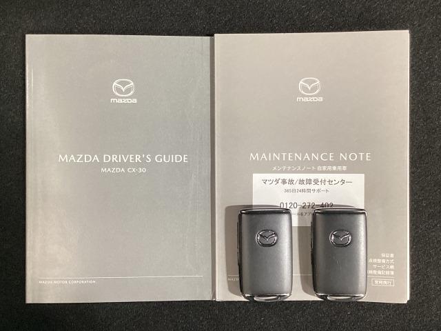 ＣＸ－３０ ２．０　２０Ｓ　ｉ　セレクション　元試乗車　全周囲カメラ　ＥＴＣ　パワーリフトゲート　ＥＴＣ　オートライト　試乗車　３６０°カメラ　ＬＥＤ　ＭＲＣＣ（29枚目）