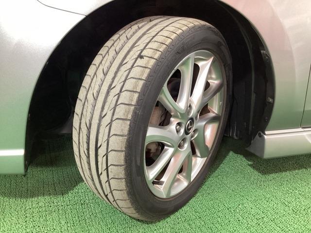 �e�^�C���A�w�����Ɍ��������X�X�����܂��B