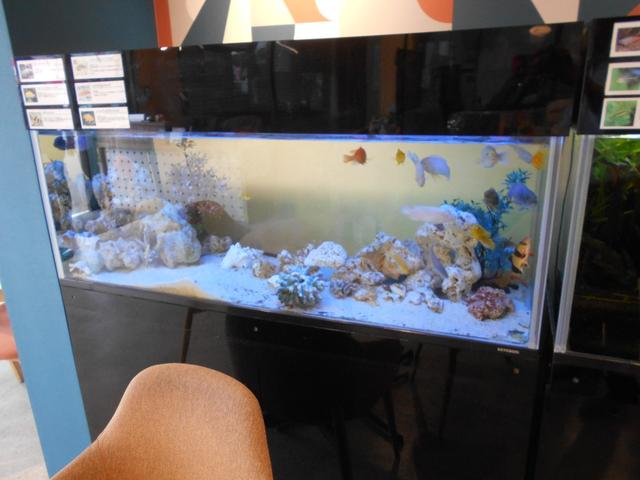 スペーシアカスタム ハイブリッドＸＳターボ　届出済未使用車　オートＬＥＤ　禁煙　ＥＳＣ　クルーズＣ　運転席シートヒーター　フルフラット　パワーウィンドゥ　ＬＥＤヘッドライ　スマートキ　サイドエアバッグ　ベンチシート　ターボ車　リモコンキー　ＰＳ（59枚目）