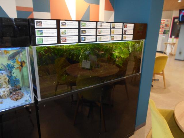 ハイゼットトラック 4WD ジャンボエクストラ 届出済未使用車 スマ-トキー キーレスキー LEDへッドライト 電動ミラー PS 盗難防止装置 運転席エアバッグ 記録簿付き オートハイビーム 禁煙車 衝突回避支援ブレーキ機能(53枚目)