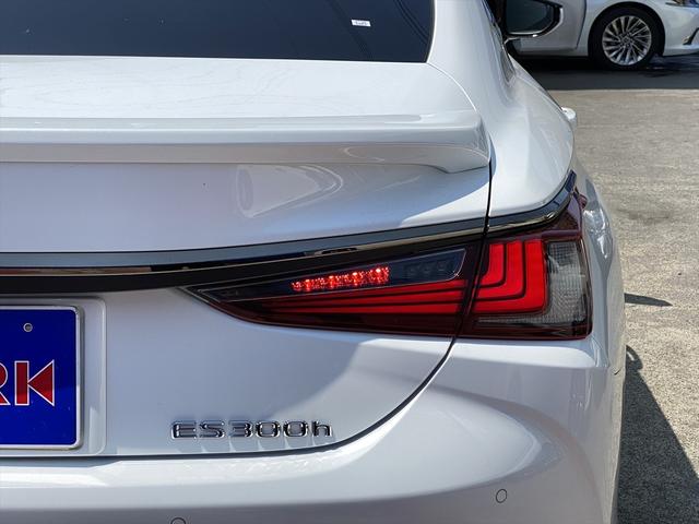 ＥＳ ＥＳ３００ｈ　Ｆスポーツ　後期・メーカーナビ地デジ・全カメラ・ブルートゥース・ＵＳＢ・ＥＴＣ２．０・サンルーフ・シートＨ・シートＣ・ステアＨ・ＬＳＳ・１９アルミ・Ｐトランク・Ｃセンサー・パドルシフト・ＴＶキット・前後ドラレコ（46枚目）