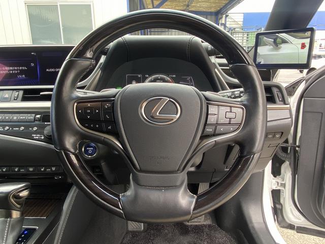 ES ES300h バージョンL サンルーフ・フルセグナビ・全周囲カメラ・BTオーディオ・18AW・黒革シート・ベンチレーション・LEDライト・ステアリングヒーター・レーダークルーズ・BSM・レクサスセーフティS・ミラーレスドアミラー(11枚目)