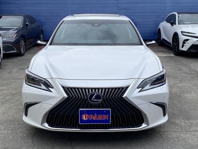 ES ES300h バージョンL サンルーフ・フルセグナビ・全周囲カメラ・BTオーディオ・18AW・黒革シート・ベンチレーション・LEDライト・ステアリングヒーター・レーダークルーズ・BSM・レクサスセーフティS・ミラーレスドアミラー(25枚目)