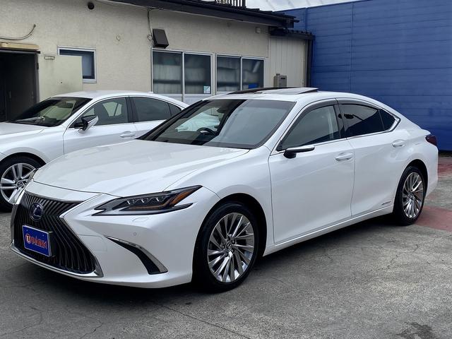 ES ES300h バージョンL サンルーフ・フルセグナビ・全周囲カメラ・BTオーディオ・18AW・黒革シート・ベンチレーション・LEDライト・ステアリングヒーター・レーダークルーズ・BSM・レクサスセーフティS・ミラーレスドアミラー(26枚目)