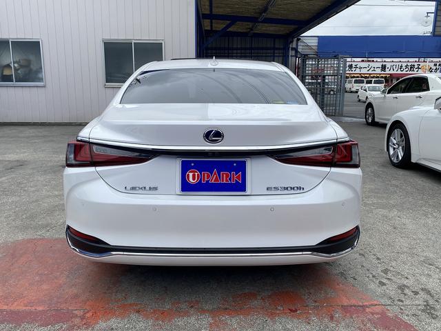 ES ES300h バージョンL サンルーフ・フルセグナビ・全周囲カメラ・BTオーディオ・18AW・黒革シート・ベンチレーション・LEDライト・ステアリングヒーター・レーダークルーズ・BSM・レクサスセーフティS・ミラーレスドアミラー(29枚目)