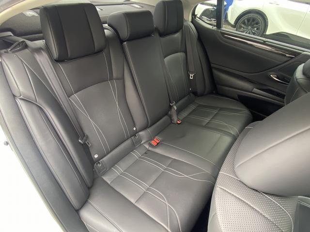 ES ES300h バージョンL サンルーフ・フルセグナビ・全周囲カメラ・BTオーディオ・18AW・黒革シート・ベンチレーション・LEDライト・ステアリングヒーター・レーダークルーズ・BSM・レクサスセーフティS・ミラーレスドアミラー(34枚目)