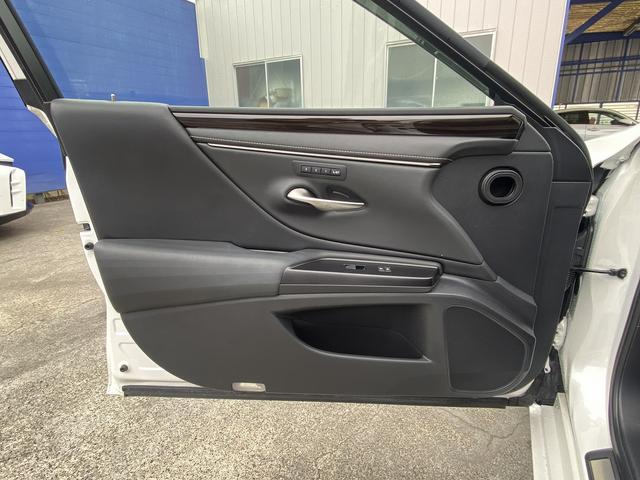 ES ES300h バージョンL サンルーフ・フルセグナビ・全周囲カメラ・BTオーディオ・18AW・黒革シート・ベンチレーション・LEDライト・ステアリングヒーター・レーダークルーズ・BSM・レクサスセーフティS・ミラーレスドアミラー(36枚目)