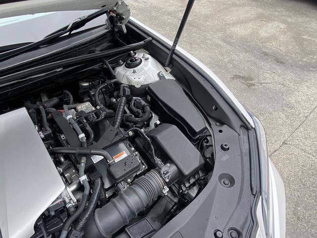 ES ES300h バージョンL サンルーフ・フルセグナビ・全周囲カメラ・BTオーディオ・18AW・黒革シート・ベンチレーション・LEDライト・ステアリングヒーター・レーダークルーズ・BSM・レクサスセーフティS・ミラーレスドアミラー(63枚目)