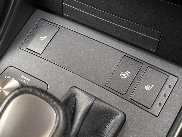 ＩＳ ＩＳ３００　Ｆスポーツ　後期・フルセグナビ・全周囲カメラ・ＢＴオーディオ・１９ＡＷ・黒革シート・シートヒーター・ＬＥＤライト・ステアリングヒーター・レーダークルーズ・コーナーセンサー・レクサスセーフティシステム・ＢＳＭ（12枚目）