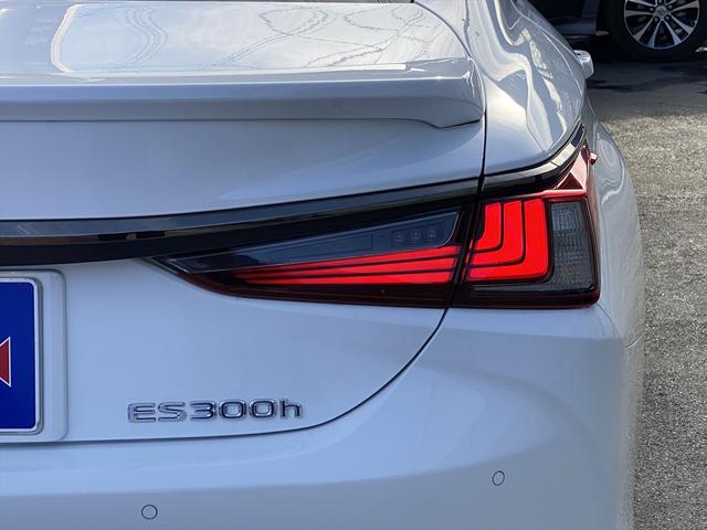ＥＳ ＥＳ３００ｈ　Ｆスポーツ　サンルーフ・フルセグナビ・バックカメラ・ＢＴオーディオ・１９ＡＷ・赤革シート・ベンチレーション・ＬＥＤライト・フォグ・レーダークルーズ・ステアリングヒーター・ＥＴＣ・レクサスセーフティシステム・ＢＳＭ（59枚目）