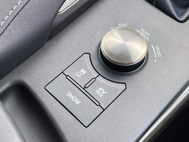 ＩＳ ＩＳ３００ｈ　バージョンＬ　フルセグナビ・バックカメラ・ＢＴオーディオ・１９ＡＷ・黒革シート・ベンチレーション・ＬＥＤライト・レーダークルーズ・ステアリングヒーター・Ｐシート・ＥＴＣ・レクサスセーフティシステム・ＢＳＭ・車高調（33枚目）