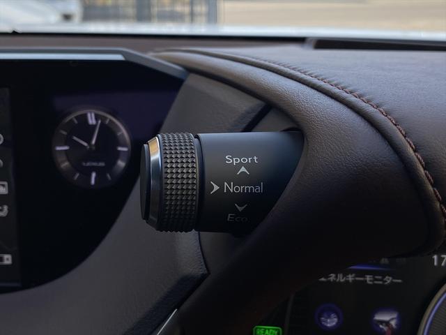 ES ES300h バージョンL サンルーフ・フルセグナビ・全周囲カメラ・BTオーディオ・18AW・茶革シート・ベンチレーション・LEDライト・ステアリングヒーター・レーダークルーズ・ETC・レクサスセーフティシステム・BSM・HUD(39枚目)