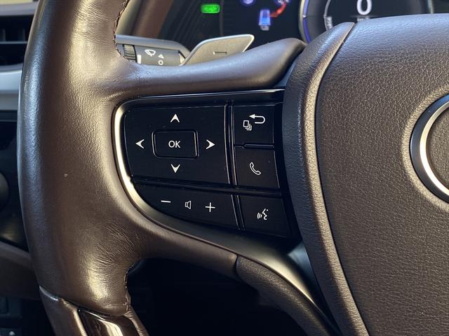 ES ES300h バージョンL サンルーフ・フルセグナビ・全周囲カメラ・BTオーディオ・18AW・茶革シート・ベンチレーション・LEDライト・ステアリングヒーター・レーダークルーズ・ETC・レクサスセーフティシステム・BSM・HUD(43枚目)