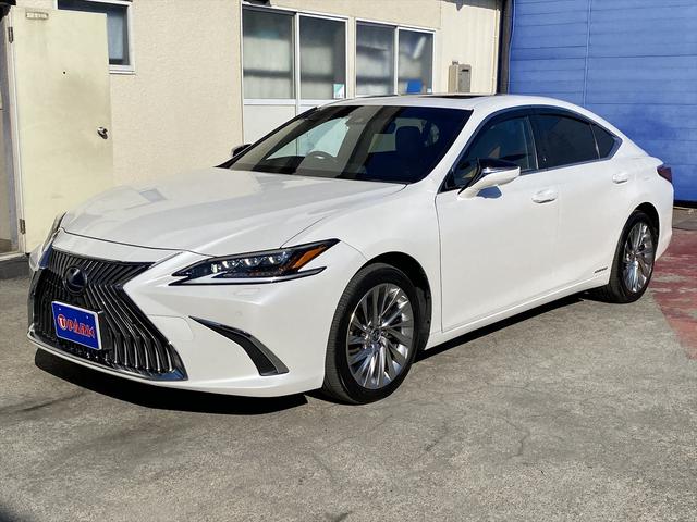 ES ES300h バージョンL サンルーフ・フルセグナビ・全周囲カメラ・BTオーディオ・18AW・茶革シート・ベンチレーション・LEDライト・ステアリングヒーター・レーダークルーズ・ETC・レクサスセーフティシステム・BSM・HUD(53枚目)