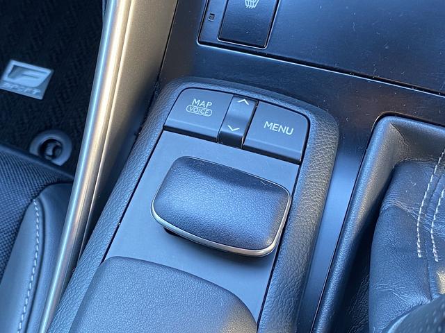 IS IS250 Fスポーツ サンルーフ・フルセグナビ・バックカメラ・BTオーディオ・18AW・ハーフレザーシート・シートヒーター・LEDライト・フォグ・レーダークルーズ・ETC・コーナーセンサー・USB・プリクラッシュセーフティ(45枚目)