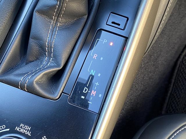 IS IS250 Fスポーツ サンルーフ・フルセグナビ・バックカメラ・BTオーディオ・18AW・ハーフレザーシート・シートヒーター・LEDライト・フォグ・レーダークルーズ・ETC・コーナーセンサー・USB・プリクラッシュセーフティ(46枚目)