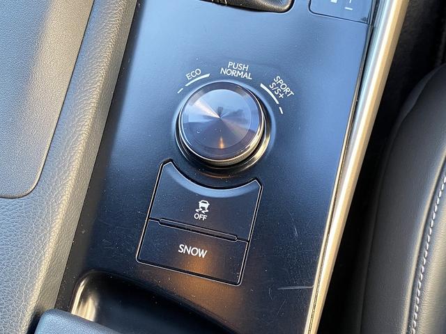 IS IS250 Fスポーツ サンルーフ・フルセグナビ・バックカメラ・BTオーディオ・18AW・ハーフレザーシート・シートヒーター・LEDライト・フォグ・レーダークルーズ・ETC・コーナーセンサー・USB・プリクラッシュセーフティ(47枚目)