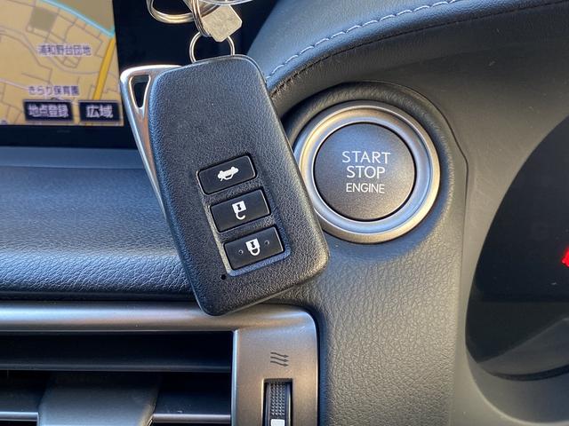 IS IS250 Fスポーツ サンルーフ・フルセグナビ・バックカメラ・BTオーディオ・18AW・ハーフレザーシート・シートヒーター・LEDライト・フォグ・レーダークルーズ・ETC・コーナーセンサー・USB・プリクラッシュセーフティ(48枚目)