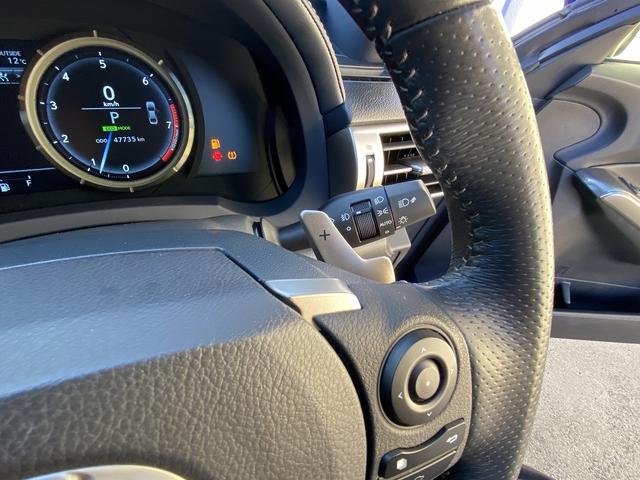 IS IS250 Fスポーツ サンルーフ・フルセグナビ・バックカメラ・BTオーディオ・18AW・ハーフレザーシート・シートヒーター・LEDライト・フォグ・レーダークルーズ・ETC・コーナーセンサー・USB・プリクラッシュセーフティ(51枚目)