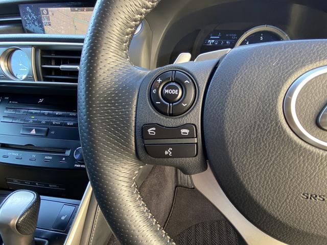 IS IS250 Fスポーツ サンルーフ・フルセグナビ・バックカメラ・BTオーディオ・18AW・ハーフレザーシート・シートヒーター・LEDライト・フォグ・レーダークルーズ・ETC・コーナーセンサー・USB・プリクラッシュセーフティ(53枚目)