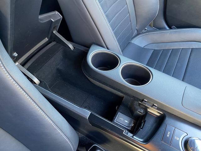 IS IS250 Fスポーツ サンルーフ・フルセグナビ・バックカメラ・BTオーディオ・18AW・ハーフレザーシート・シートヒーター・LEDライト・フォグ・レーダークルーズ・ETC・コーナーセンサー・USB・プリクラッシュセーフティ(58枚目)