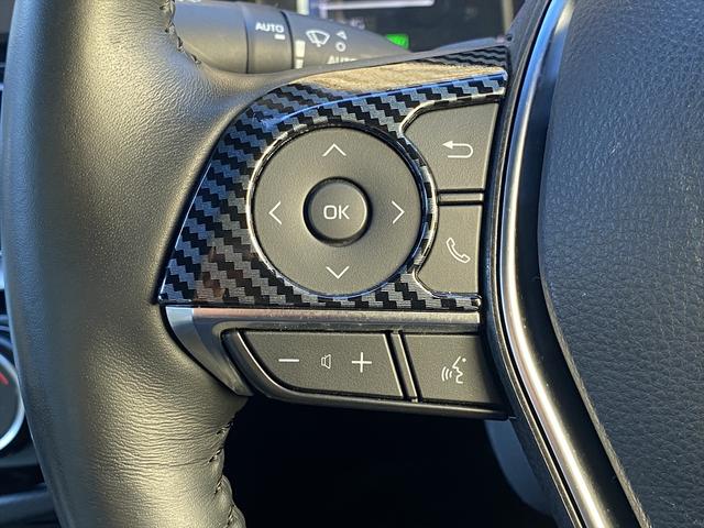 クラウンハイブリッド RSアドバンス 後期・フルセグナビ・全周囲カメラ・デジタルミラー・BTオーディオ・18AW・コンビ革シート・ベンチレーション・ステアリングヒーター・レーダークルーズ・ETC・USB・セーフティセンス・BSM・HUD(49枚目)