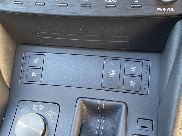 RC RC300h Fスポーツ 後期・ワンオーナー・フルセグナビ・バックカメラ・BTオーディオ・19AW・黒革シート・ベンチレーション・LEDライト・ステアリングヒーター・レーダークルーズ・ETC・レクサスセーフティシステム・BSM(10枚目)