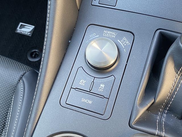 RC RC300h Fスポーツ 後期・ワンオーナー・フルセグナビ・バックカメラ・BTオーディオ・19AW・黒革シート・ベンチレーション・LEDライト・ステアリングヒーター・レーダークルーズ・ETC・レクサスセーフティシステム・BSM(41枚目)