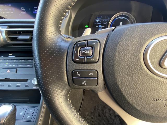 RC RC300h Fスポーツ 後期・ワンオーナー・フルセグナビ・バックカメラ・BTオーディオ・19AW・黒革シート・ベンチレーション・LEDライト・ステアリングヒーター・レーダークルーズ・ETC・レクサスセーフティシステム・BSM(49枚目)