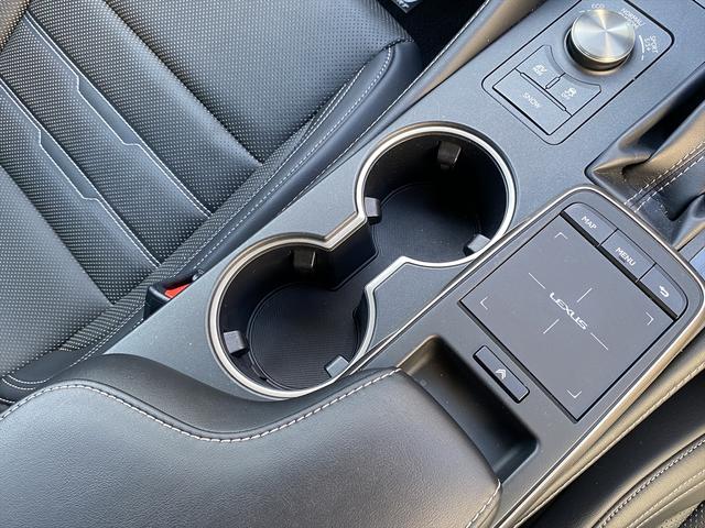 RC RC300h Fスポーツ 後期・ワンオーナー・フルセグナビ・バックカメラ・BTオーディオ・19AW・黒革シート・ベンチレーション・LEDライト・ステアリングヒーター・レーダークルーズ・ETC・レクサスセーフティシステム・BSM(53枚目)