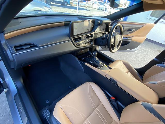 ＥＳ ＥＳ３００ｈ　バージョンＬ　後期・サンルーフ・フルセグナビ・全周囲カメラ・ＢＴオーディオ・１８ＡＷ・コンビ革シート・ベンチレーション・ＬＥＤライト・ステアリングヒーター・デジタルミラー・レクサスセーフティシステム・ＢＳＭ・ＨＵＤ（36枚目）