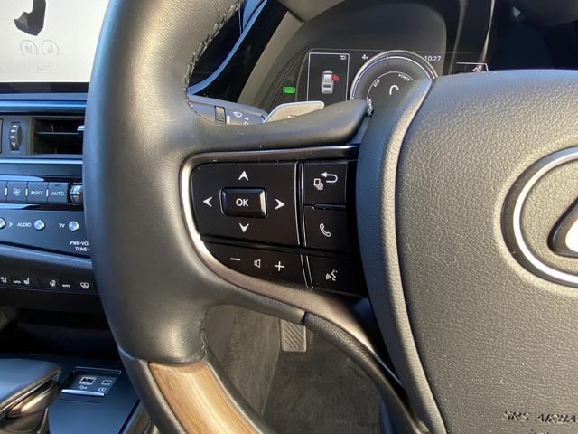 ＥＳ ＥＳ３００ｈ　バージョンＬ　後期・サンルーフ・フルセグナビ・全周囲カメラ・ＢＴオーディオ・１８ＡＷ・コンビ革シート・ベンチレーション・ＬＥＤライト・ステアリングヒーター・デジタルミラー・レクサスセーフティシステム・ＢＳＭ・ＨＵＤ（53枚目）