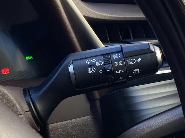 ＥＳ ＥＳ３００ｈ　バージョンＬ　サンルーフ・フルセグナビ・全周囲カメラ・ＢＴオーディオ・１８ＡＷ・コンビ革シート・ベンチレーション・ＬＥＤライト・ステアリングヒーター・レーダークルーズ・レクサスセーフティシステム・ＢＳＭ・ＨＵＤ（49枚目）