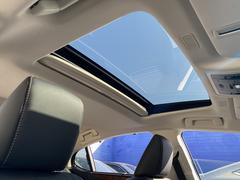 ���������롼�ա��ե륻���ʥӡ������ϥ���顦�£ԥ����ǥ������������ס����ץ����ȡ��٥���졼����󡦣̣ţĥ饤�ȡ����ƥ���󥰥ҡ��������졼�������롼�����쥯���������եƥ������ƥࡦ�£ӣ͡��ȣգ� 5