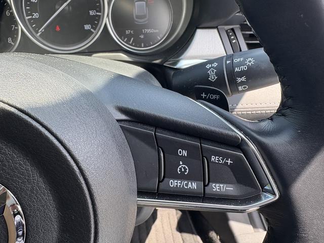 ＭＡＺＤＡ６ワゴン ２０Ｓ　マツダコネクトナビ・フルセグ・バックカメラ・ＢＴオーディオ・ＣＤ・ＤＶＤ・ＥＴＣ・ＵＳＢ・クルーズコントロール・純正１７ＡＷ・ＨＵＤ・ＢＳＭ・ＬＥＤライト・ＡＵＴＯハイビーム・ステアシフト・革ステア（13枚目）