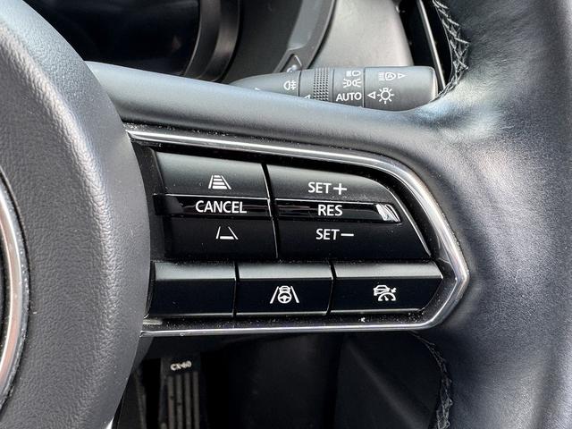 ＣＸ－６０ ＸＤ－ハイブリッド　エクスクルーシブスポーツ　純正ナビ・フルセグＴＶ・Ｃａｒｐｌａｙ・Ｂｌｕｅｔｏｏｔｈ・ＢＯＳＥサウンド・全周囲カメラ・ＥＴＣ・ＡＣＣ・ＢＳＭ・ＬＫＡ・黒革シート・シートエアコン・パワーシート・オートＨＩビーム・純正２０ＡＷ（34枚目）