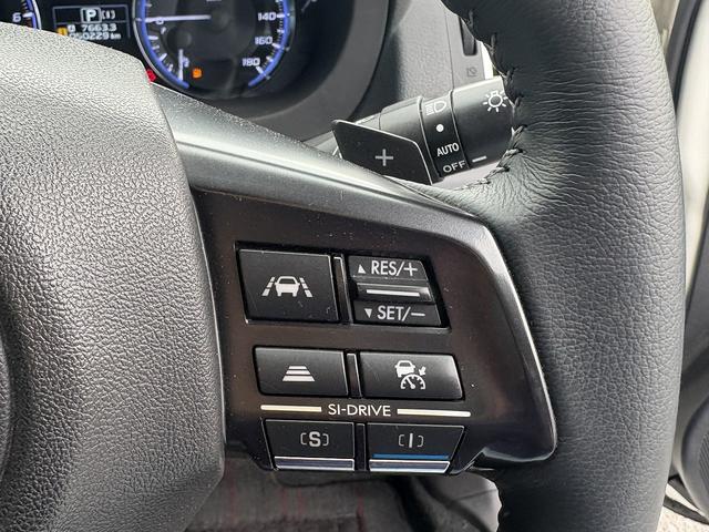 レヴォーグ 1.6GTアイサイト フルセグナビ・Bカメラ・BTオーディオ・LEDライト・ACC・LKA・Pシート・パドルシフト・ETC・プライバシーガラス・ドアバイザー・本革ステア・オートライト・USB・Aストップ(10枚目)