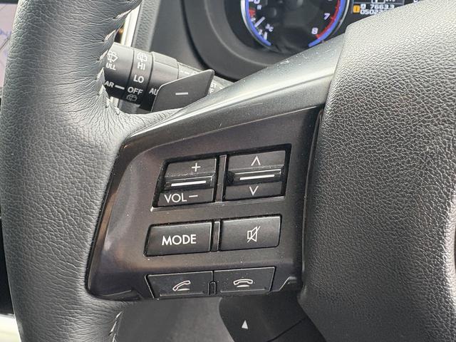 レヴォーグ 1.6GTアイサイト フルセグナビ・Bカメラ・BTオーディオ・LEDライト・ACC・LKA・Pシート・パドルシフト・ETC・プライバシーガラス・ドアバイザー・本革ステア・オートライト・USB・Aストップ(11枚目)