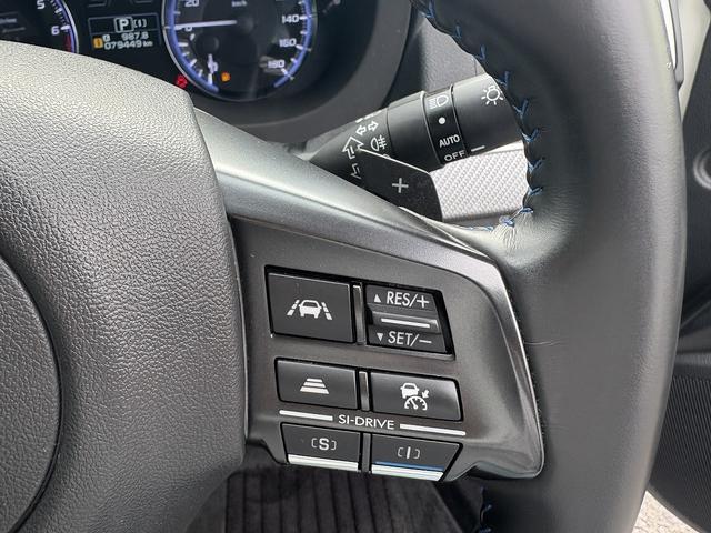 レヴォーグ １．６ＧＴ－Ｓアイサイト　フルセグナビ・ＢＴオーディオ・ＬＥＤライト・ＡＣＣ・ＬＫＡ・ＥＴＣ・パドルシフト・スマキー・ドアバイザー・プライバシーガラス・本革ステア・ミラーウィンカー・Ａストップ・Ｐシート（10枚目）