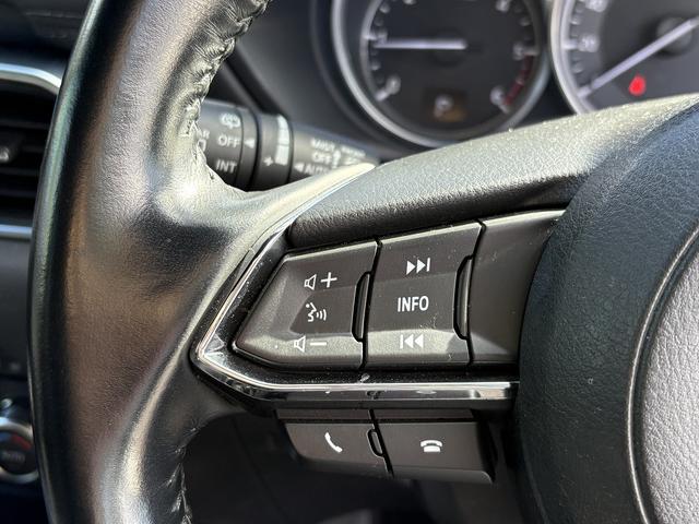 ＣＸ－８ ＸＤプロアクティブ　マツダコネクトナビ・フルセグ・全周囲カメラ・ＢＴオーディオ・ＥＴＣ・ＣＤ・ＤＶＤ・パワーシート・シート＆ステアヒーター・Ｃソナー・ＢＳＭ・ＨＵＤ・ＡＵＴＯハイビーム・純正１９ＡＷ・フロアマット（30枚目）