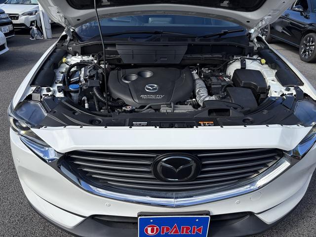 ＣＸ－８ ＸＤプロアクティブ　マツダコネクトナビ・フルセグ・全周囲カメラ・ＢＴオーディオ・ＥＴＣ・ＣＤ・ＤＶＤ・パワーシート・シート＆ステアヒーター・Ｃソナー・ＢＳＭ・ＨＵＤ・ＡＵＴＯハイビーム・純正１９ＡＷ・フロアマット（46枚目）