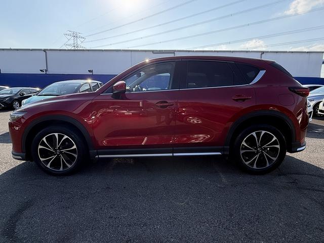 ＣＸ－５ ＸＤ　Ｌパッケージ　ＡＣＣ・ＢＯＳＥサウンド・本革シート・フルセグナビ・バックカメラ・ＢＴオーディオ・ＥＴＣ２．０・パワーバックドア・シート＆ステアヒーター・Ｃソナー・ＢＳＭ・ＨＵＤ・ＡＵＴＯハイビーム・純正１９ＡＷ（49枚目）