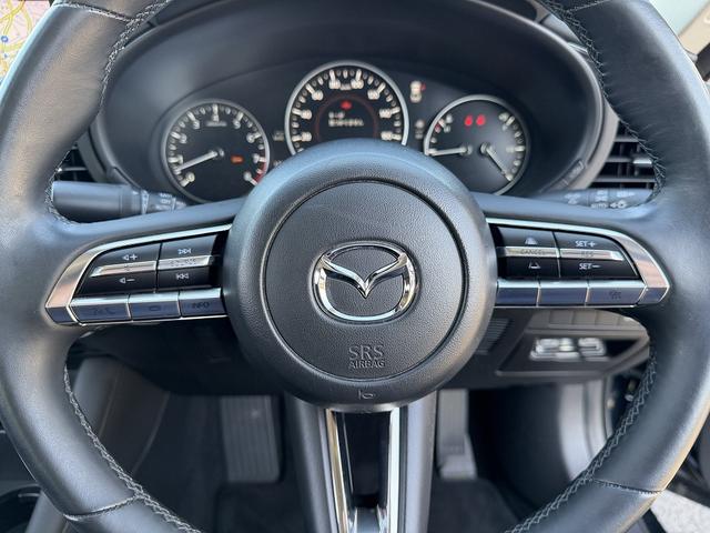 ＭＡＺＤＡ３セダン ２０Ｓプロアクティブ　フルセグナビ・Ｂカメラ・ＢＴオーディオ・ＬＥＤライト・ＨＵＤ・ＡＣＣ・ＬＫＡ・ＢＳＭ・Ｃソナー・パドルシフト・スマキー・ＵＳＢ・ドアバイザー・プライバシーガラス・１８ＡＷ・本革ステア（13枚目）