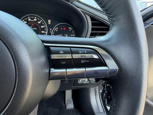 ＭＡＺＤＡ３セダン ２０Ｓプロアクティブ　フルセグナビ・Ｂカメラ・ＢＴオーディオ・ＬＥＤライト・ＨＵＤ・ＡＣＣ・ＬＫＡ・ＢＳＭ・Ｃソナー・パドルシフト・スマキー・ＵＳＢ・ドアバイザー・プライバシーガラス・１８ＡＷ・本革ステア（38枚目）