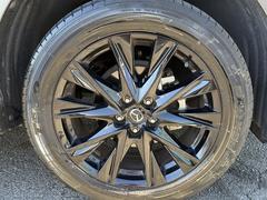 �����ϥ���顦�ե륻���ʥӡ��£ԥ����ǥ������̣ţĥ饤�ȡ��ȣգġ����ãá��̣ˣ������ȣ¡��£ӣ͡��å��ʡ����ϡ��ե쥶�������ƥ��������ȥҡ��������ţԣá��ѥɥ륷�եȡ��ܳץ��ƥ����գӣ� 5