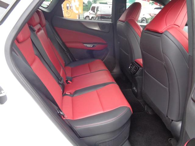 ＮＸ ＮＸ３５０ｈ　Ｆスポーツ　純正ナビ　フルセグテレビ　パノラミックビューモニター　ドライブレコーダー　デジタルインナーミラー　ビルトインＥＴＣ２．０　レザーシート　シートエアコン　パワーバックドア　ワンオーナー　新車保証書付き（19枚目）