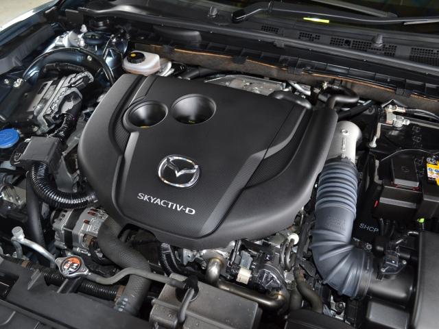 2.2 XD Lパッケージ ディーゼルターボ 4WD 白革 BOSE(9枚目)