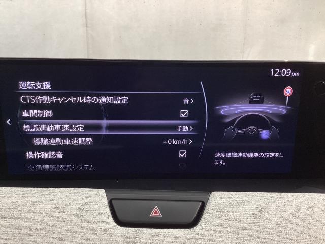 ＣＸ－６０ ３．３　ＸＤハイブリッド　プレミアム　モダン　ディーゼルター　ワンオーナー　全周囲カメラ　電動リアゲート　ドライブレコーダー　衝突被害軽減ブレーキ　アダプティブクルーズコントロール　３６０度モニター　ワンオーナー　整備記録簿　地上デジタル　衝突軽減装置　ヒーター（15枚目）