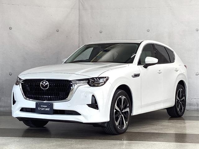 ＣＸ－６０ ３．３　ＸＤハイブリッド　プレミアム　モダン　ディーゼルター　ワンオーナー　全周囲カメラ　電動リアゲート　ドライブレコーダー　衝突被害軽減ブレーキ　アダプティブクルーズコントロール　３６０度モニター　ワンオーナー　整備記録簿　地上デジタル　衝突軽減装置　ヒーター（35枚目）