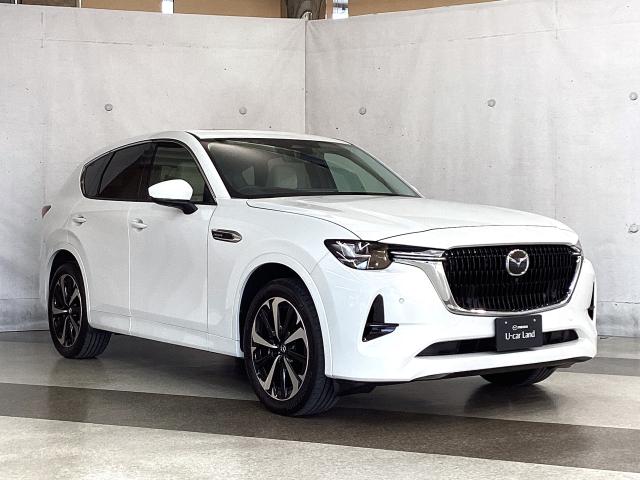 ＣＸ－６０ ３．３　ＸＤハイブリッド　プレミアム　モダン　ディーゼルター　ワンオーナー　全周囲カメラ　電動リアゲート　ドライブレコーダー　衝突被害軽減ブレーキ　アダプティブクルーズコントロール　３６０度モニター　ワンオーナー　整備記録簿　地上デジタル　衝突軽減装置　ヒーター（40枚目）